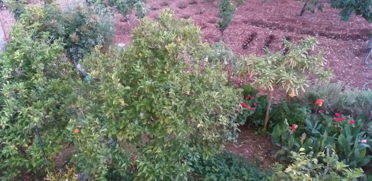 Toulatos Pantelis Apartman Puláta Kültér fotó